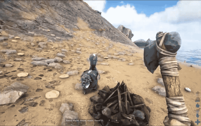 ARK gameplay