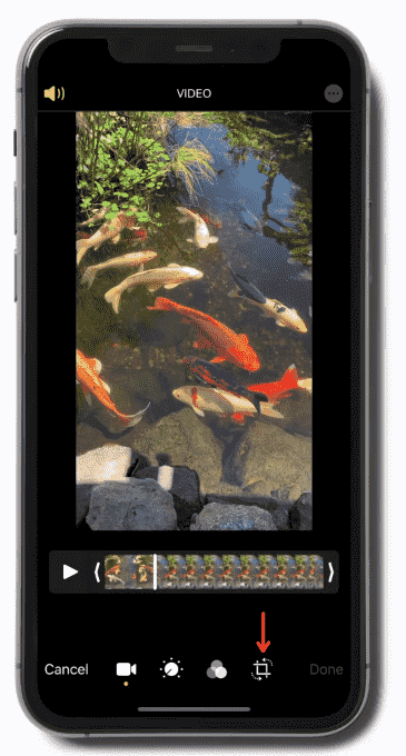 crop video iphone
