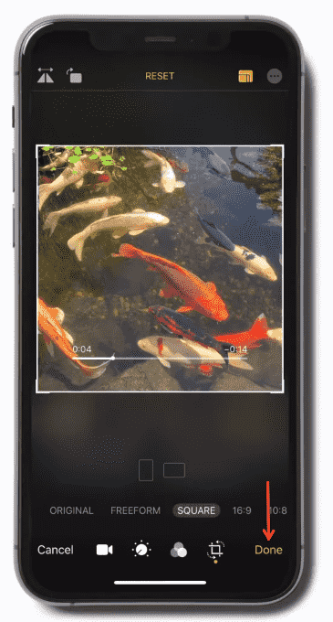 finish cropping video iphone